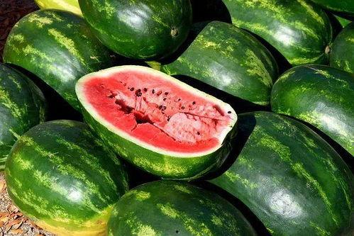吃瓜四合一视频下载,揭秘吃瓜四合一视频下载全攻略