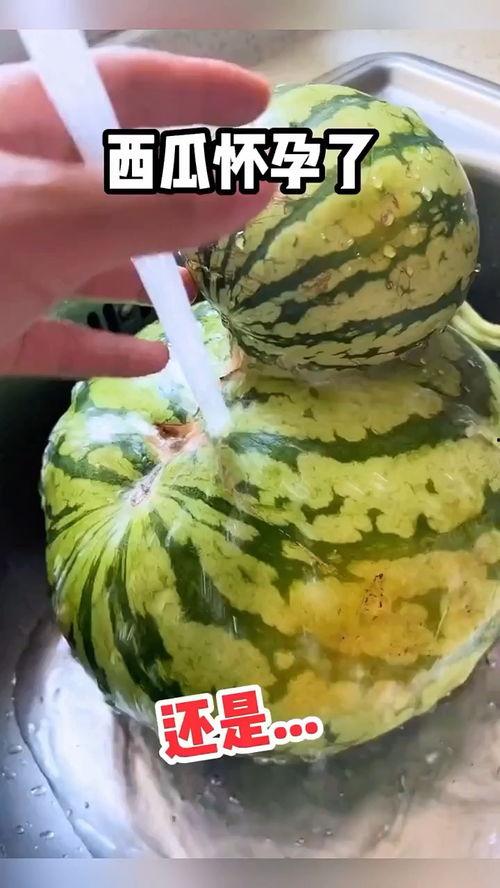 吃瓜搞笑声音大全图片视频,让你笑到肚子疼