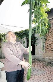 八旬老太在线吃瓜视频,揭秘银发族新潮流