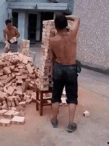 搬砖吃瓜视频搞笑,笑料横生欢乐多