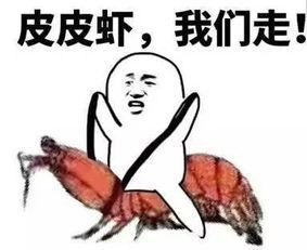 吃瓜群众开场套路视频