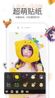 小熊带你吃瓜小视频大全,趣味视频大全集锦