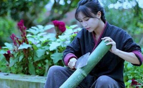 韩城巧玲吃瓜事件视频,一场网络热议的瓜田奇谈