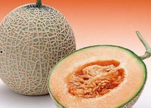 李美丽吃哈密瓜视频下载,甜蜜瞬间尽收眼底