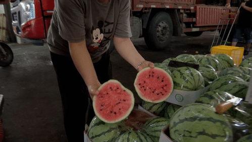 民众吃瓜视频大全最新版,最新热门事件一网打尽