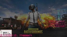 耀扬和瓜妹吃鸡视频在线观看,精彩瞬间在线放送！