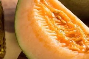 沙漠蜜瓜挖着吃怎么吃视频