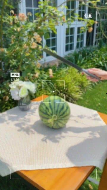 夏天到了一起吃瓜的视频,一起“瓜”乐无穷！