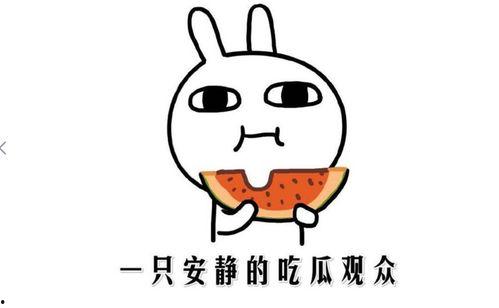 抖音吃瓜群众最新视频大全,揭秘热门视频背后的精彩故事