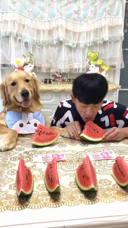 吃瓜视频套路大赛