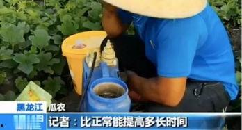 花钱买吃瓜视频违法吗